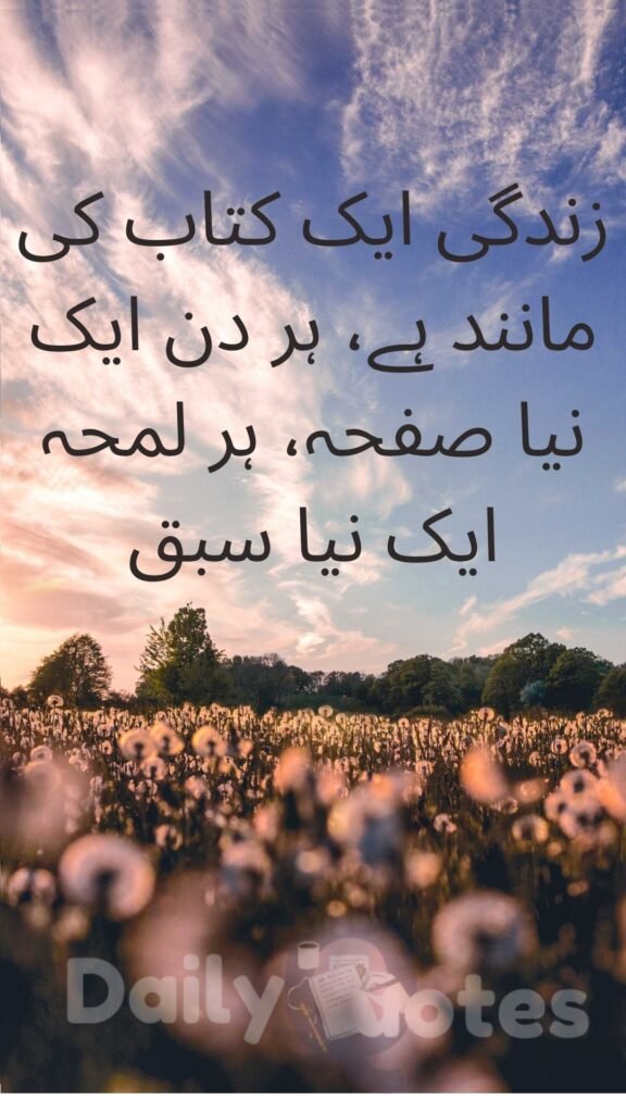 زندگی ایک کتاب کی مانند ہے، ہر دن ایک نیا صفحہ، ہر لمحہ ایک نیا سبق