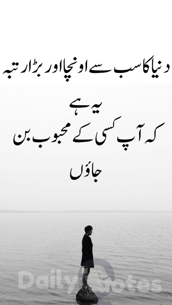  دنیا کا سب سے اونچا اور بڑا رتبہ یہ ہے کہ آپ کسی کے محبوب بن جاؤں