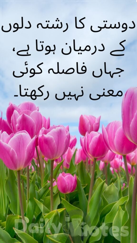 دوستی کا رشتہ دلوں کے درمیان ہوتا ہے، جہاں فاصلہ کوئی معنی نہیں رکھتا۔